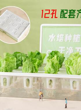 无土栽培智能花盆家庭水培蔬菜设备生菜种菜机阳台香菜水耕种植箱