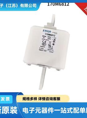 170M6768 170M6769 170M6770 170M6771快速熔断器 保险丝 原盒