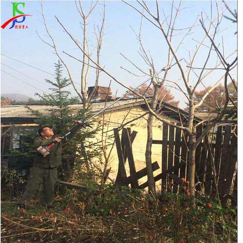 小型汽油树木修枝剪 篱笆果树高枝锯 园林修剪高空树枝工具