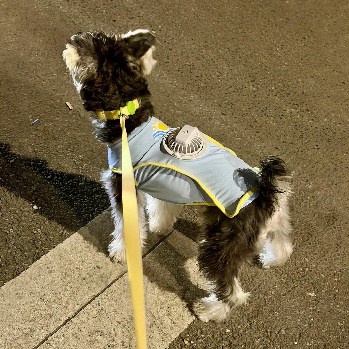 狗狗凉凉衣宠物衣服夏季冰丝网眼透气防晒中小型犬可拆卸风扇背心