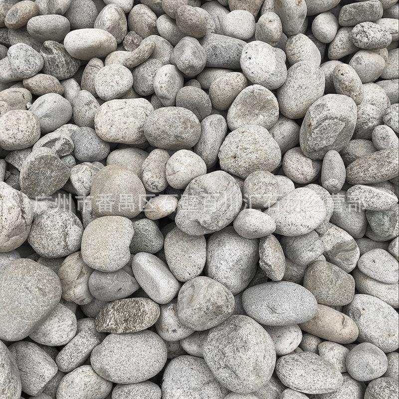 厂家直销 现货白麻石米 机制白麻石米 白色花岗岩 白麻石