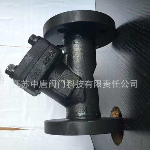 GLZT-GLQ41H-16C/25C/430C/6C造F105法兰过滤器锻锻不锈滤钢Y型过