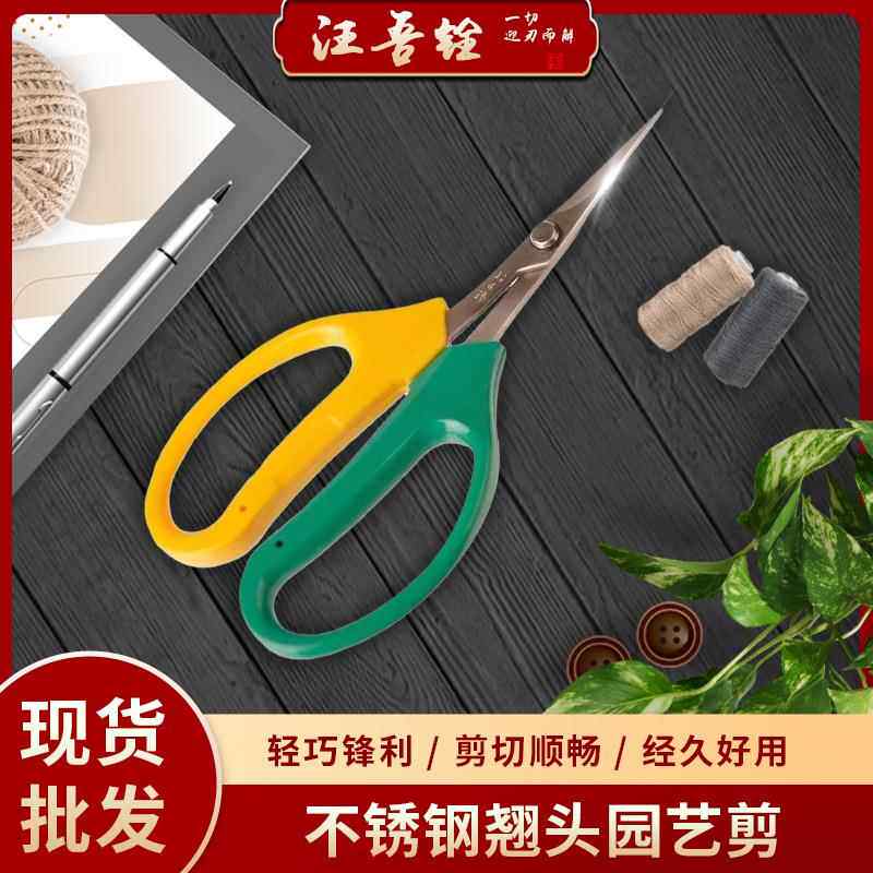 园艺剪汪吾铨弯头不锈钢葡萄专用剪修枝剪稀果剪家用蔬菜剪刀