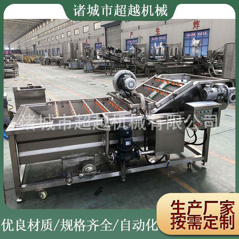 厂家优惠销售红枣清洗机橙子清洗机水果清洗机果蔬清洗加工设备