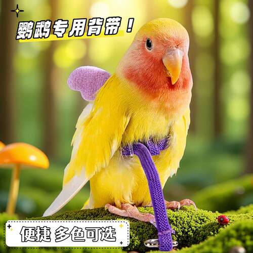 鹦鹉专用放飞绳牵引绳超轻不勒外出背带训练溜鸟神器虎皮牡丹玄凤