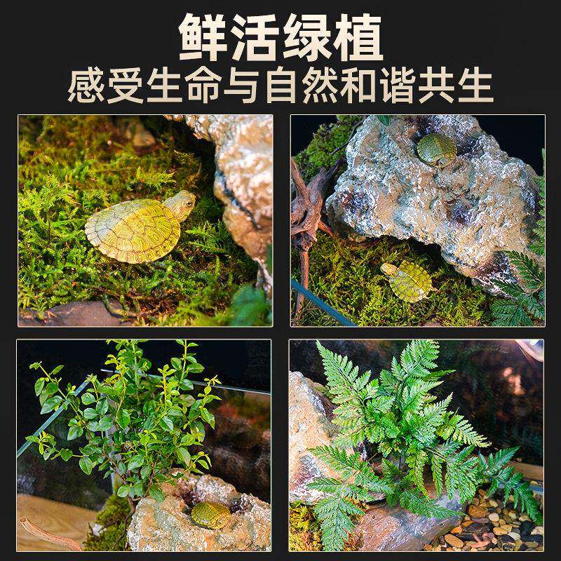 乌龟璃饲养墅缸生缸态造景家用玻缸小型别水BSL陆两用养乌龟专用
