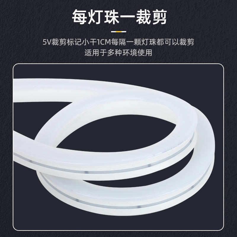 跨境5V霓虹灯带LED软灯条户外防水3V柔性灯条220V高压硅胶灯带