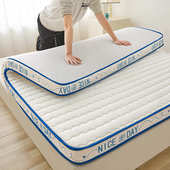 定制2025新款 亲肤透气乳胶记忆海绵立体床垫保护垫舒适床垫 热卖