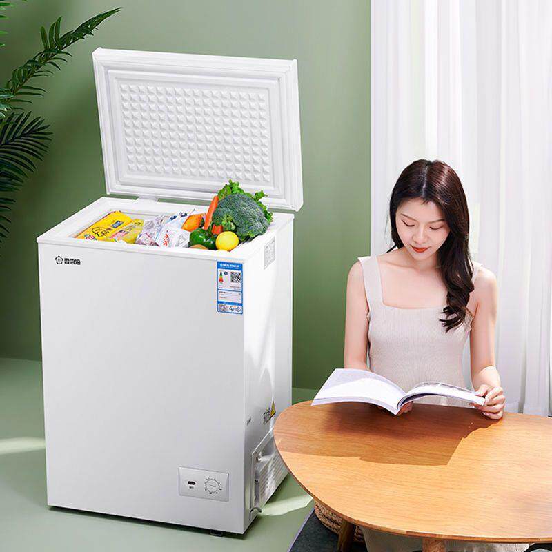 香雪海小冰柜冷冻冷藏家用冷柜小型电冰箱迷你大容量省电租房