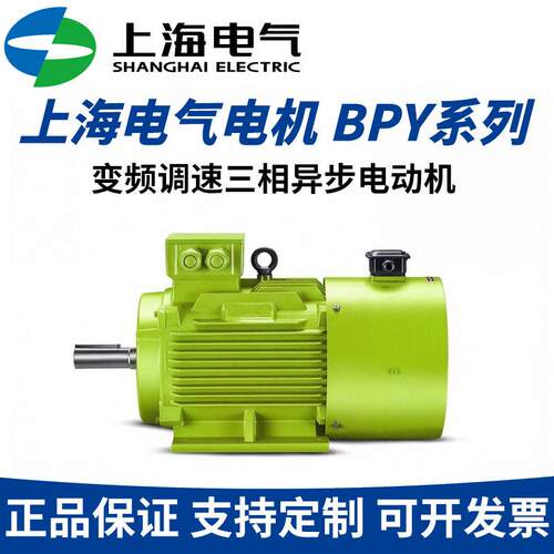 BPY-200L2-2 37W 380V 50Hz IP55防护IC416冷却适用压缩机搅拌机