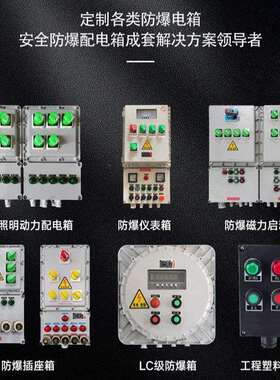 BXMD8050三防箱防爆防腐操作箱照明动力配电箱工程塑料按钮检修箱