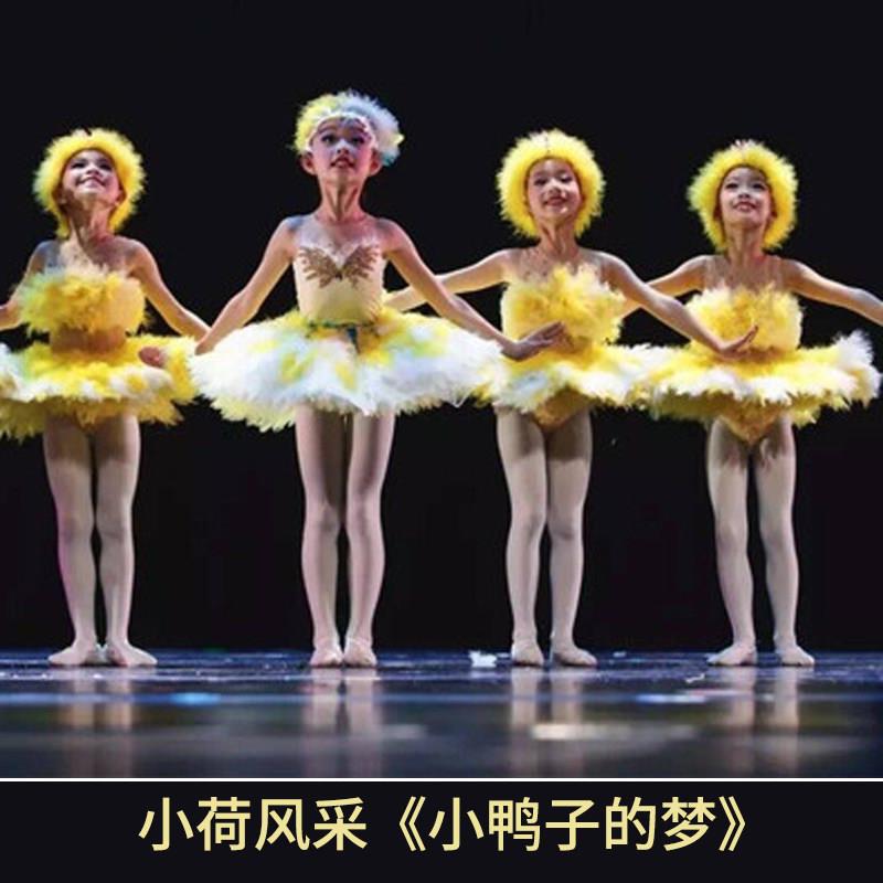 小鸭子的梦舞蹈服第九届小荷风采动物表演服女天鹅舞芭蕾舞服装