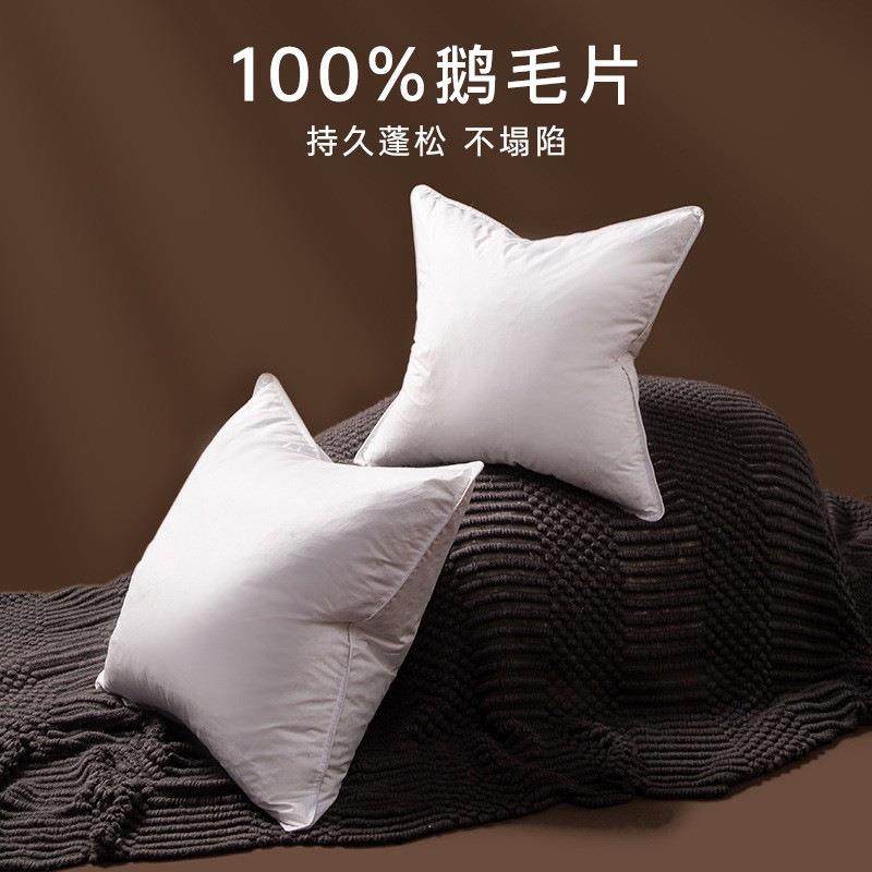鹅毛羽绒抱枕靠垫芯内胆五星级酒店床头大靠背沙发腰靠枕芯50*50