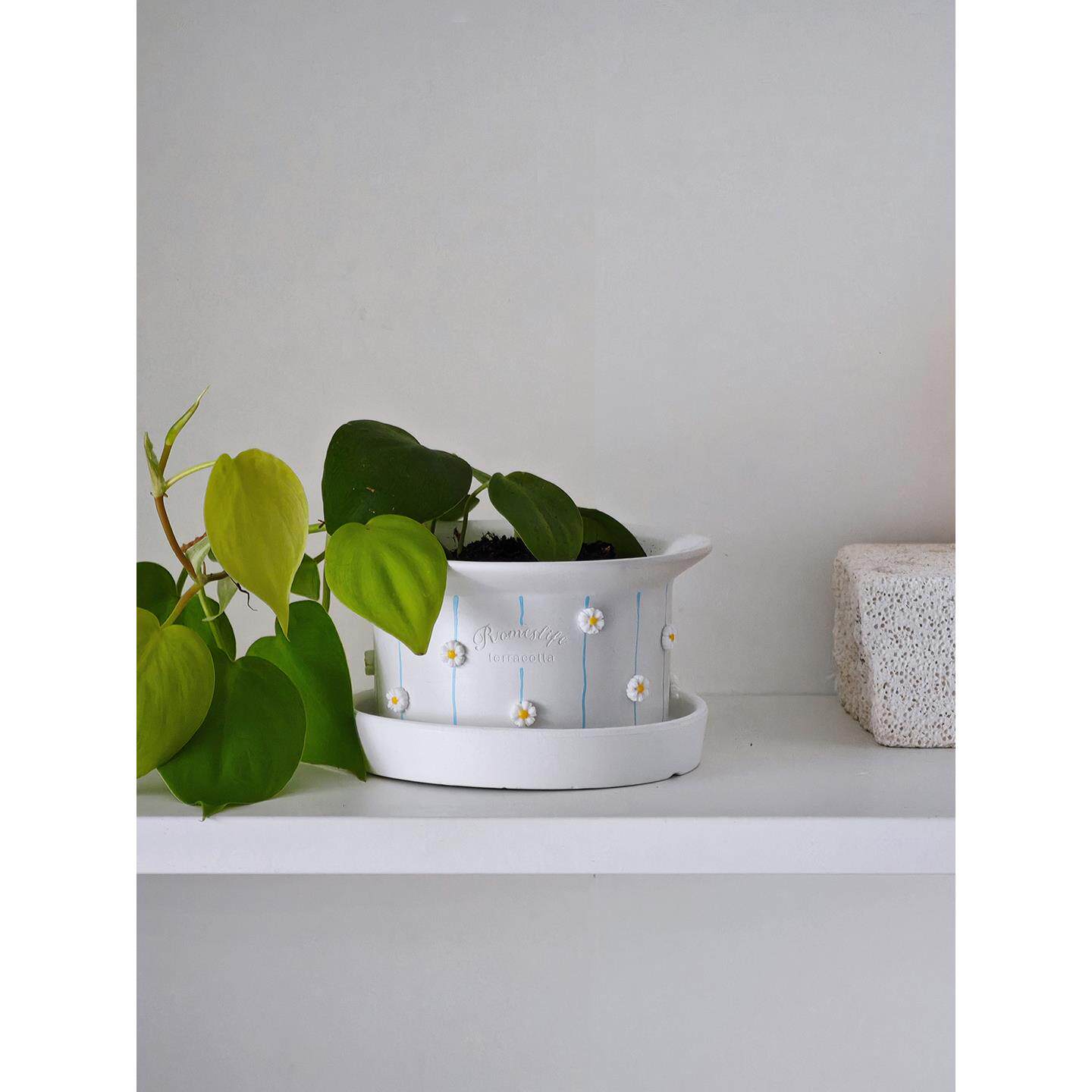 手绘雏菊陶瓷创意多肉绿色植物吸水透气办公室室内桌面斯堪的纳维