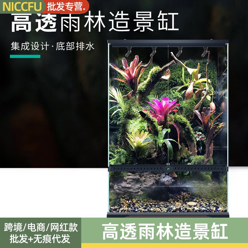 NC造景超白玻璃箱热带雨林植物动物饲养箱生态桌面造景缸玻璃雨林