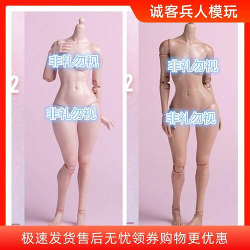 现货WorldBox 1/6兵人女素体关节可动 标准版 AT201 肥腿版AT202