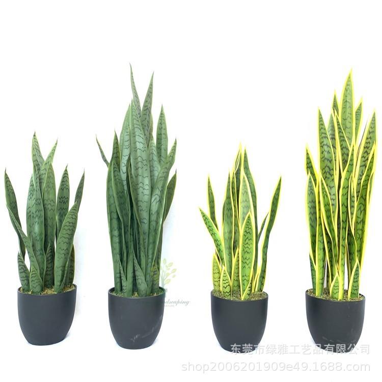 仿真绿植仿真虎皮兰绿植摆件家居装饰厂家仿真植物盆栽