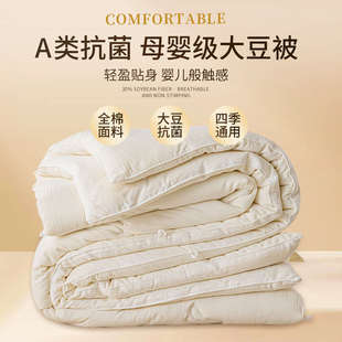 简约纯色全棉大豆被春秋被冬被子母被芯家用酒店民宿被 秋冬新款