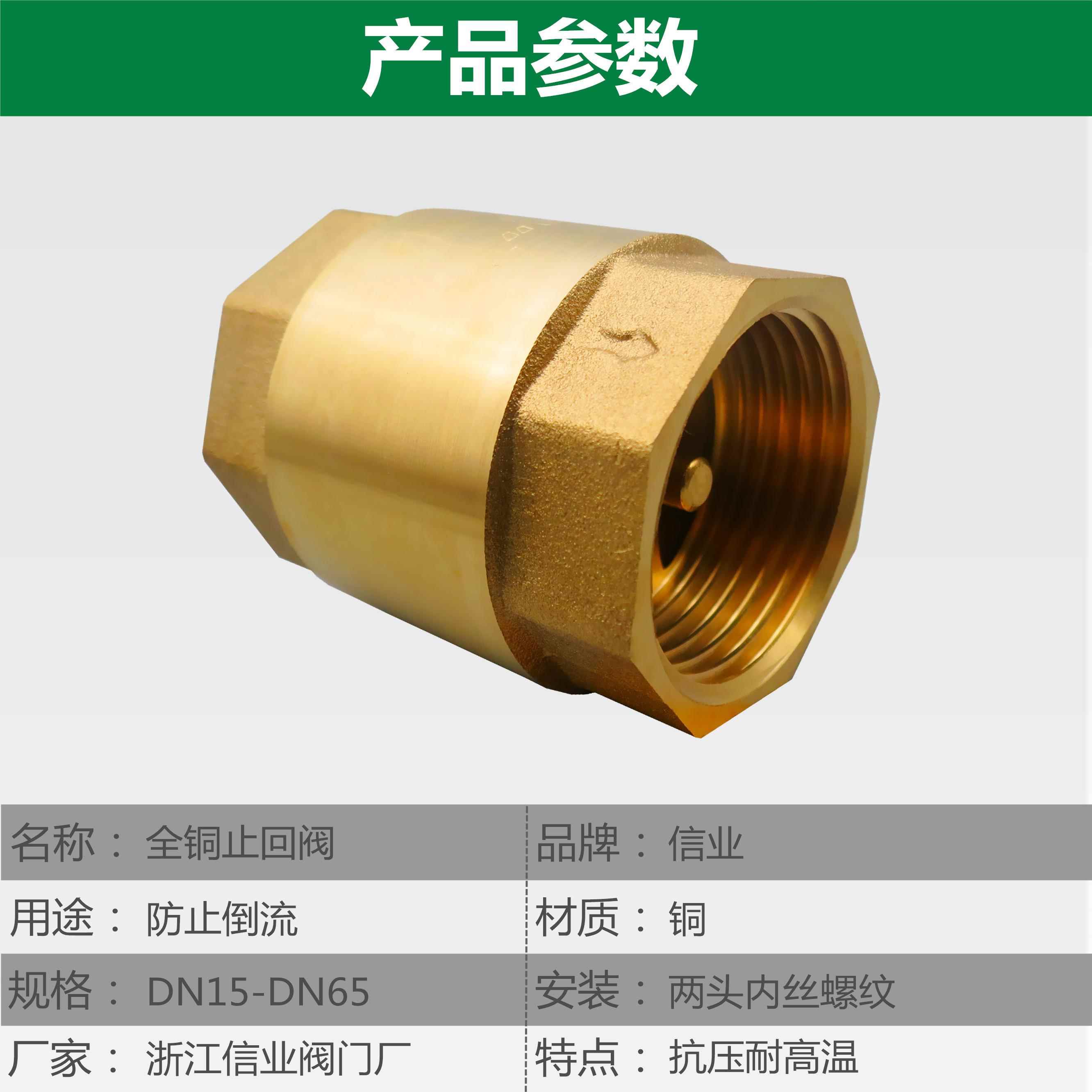 止回阀4分6水管全铜单向阀家用水表水泵止逆立式卧式防倒流止水阀