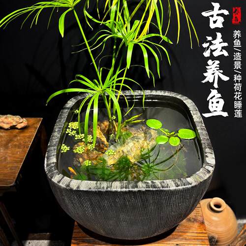 古法养鱼盆大号陶瓷睡莲循环流水落地摆件家用造景荷花缸方形粗陶