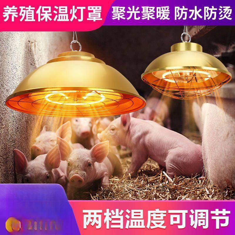 碳纤维保温灯仔猪用卤素保温灯管鸡用取暖灯泡可调温加热取暖灯罩
