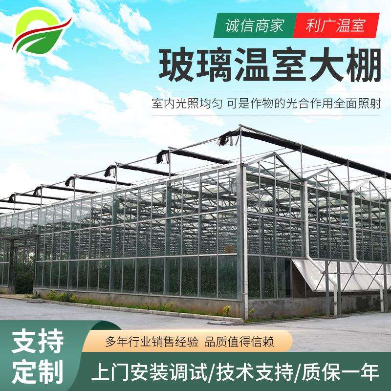日光温室大棚保温好、投资低、节约能源蔬菜越冬栽培太阳能