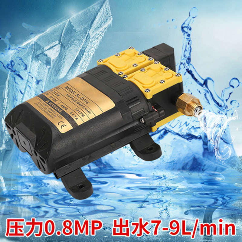 电动喷雾器农用充电便携式家用户外浇菜小型12v抽水泵打药机水泵