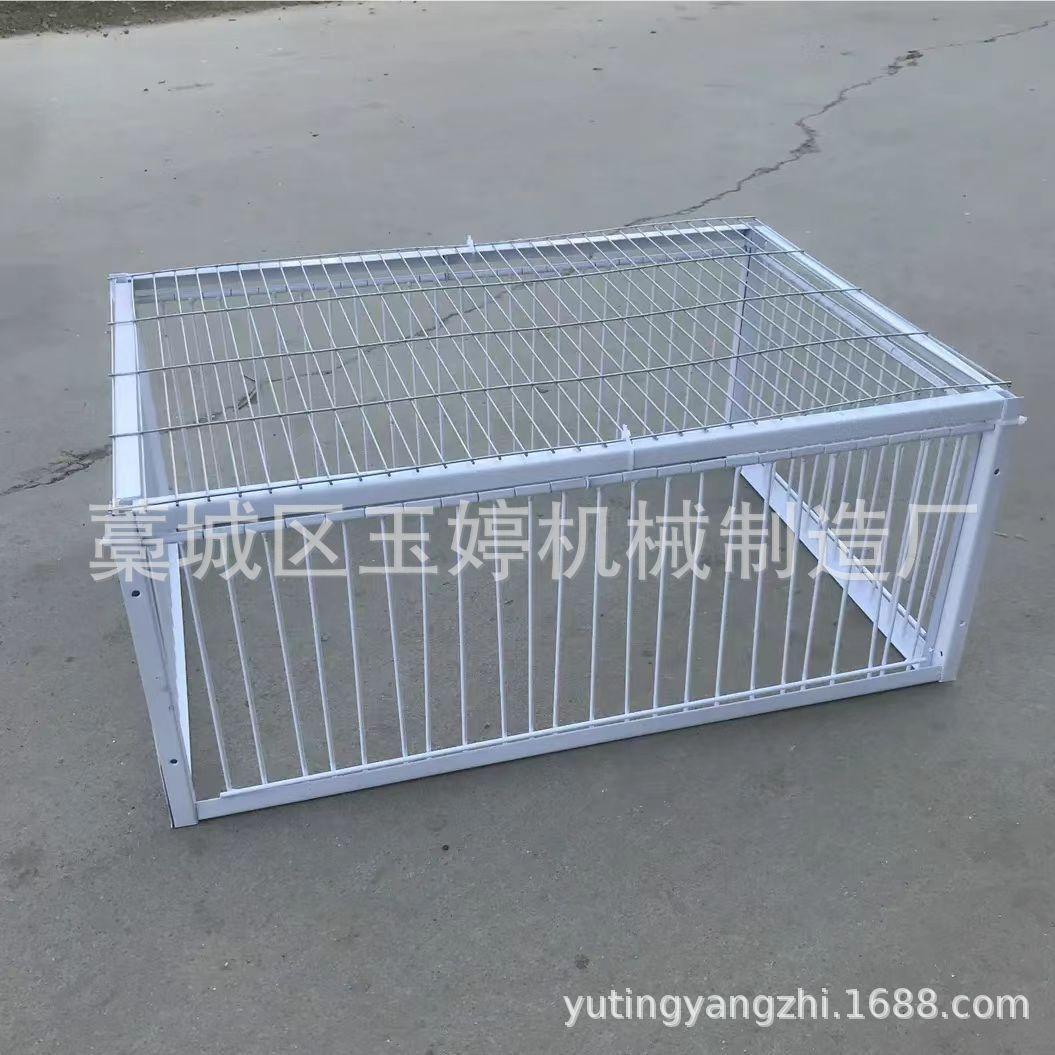 鸽子笼专用地网自动撞门诱捕野外天落笼陷阱鸟笼鸽子天落笼神器图片
