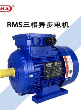 意大利FEMA三相RMS系列异步电机56132基座节能静音安装可自由选择