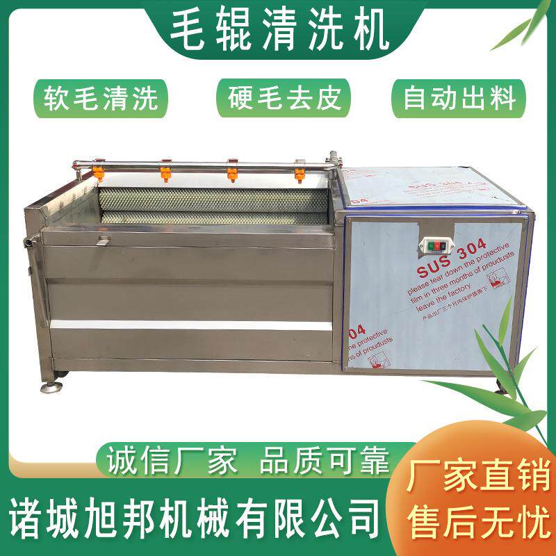 商用毛辊清洗机红薯土豆生姜去皮机马蹄花生莲藕去泥清洗设备