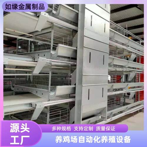 全自动养鸡设备加密加粗自动化集中管理养殖设备大层叠式蛋鸡笼