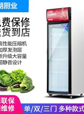 饮料柜展示柜冷藏柜保鲜柜商用立式单门双开门啤酒水冰柜冰箱超市