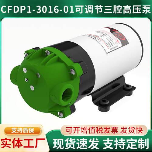 三腔隔膜泵高压自吸隔膜房车游艇18CFDP1-3330-21三腔隔膜泵