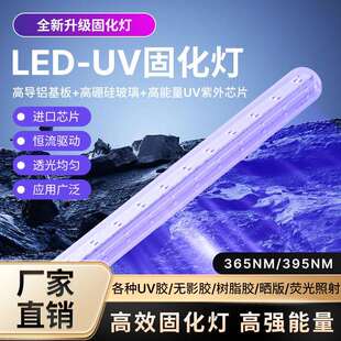 适用果园 UV紫外线12V诱虫灯管 395NM波段 365 菜园 诱蚊T8灯管