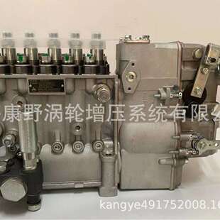 喷油泵F002A0Z4165521205和39211270400866198和F002A0Z379