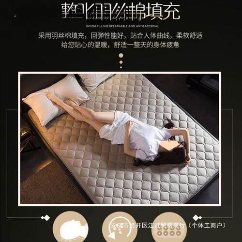 床垫家用睡垫././.宿舍单人软垫加厚租房垫子双人垫被褥子