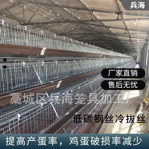 三层五门阶梯式A型蛋鸡笼多种尺寸规格半自动化养殖设备厂家直供