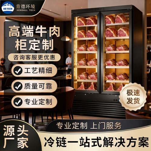 牛肉熟成柜商用牛排柜冷藏冷鲜展示柜干湿排酸柜西餐厅恒温柜冷冻