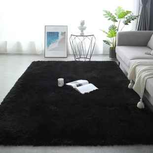 Room Bedroom Mat Carpet 地毯子 Floor Living Rug Plush Fluffy