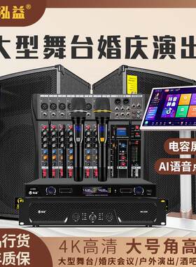 泓益 T12组合泓益T12/15寸大功率家庭K歌音响套装大型户外舞台KTV