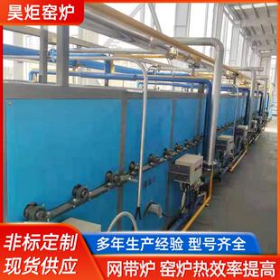厂家供应网带辊道隧道窑锰酸锂烧结辊道窑炉石油催化剂辊道炉