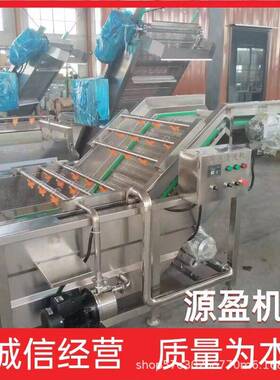 大枣清洗机 新疆灰枣哈密枣清洗设备 全自动红枣气泡清洗机