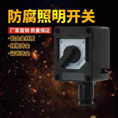 BZM8050防爆防腐照明开关 IIB防爆转换开关单极双极串极双控开关