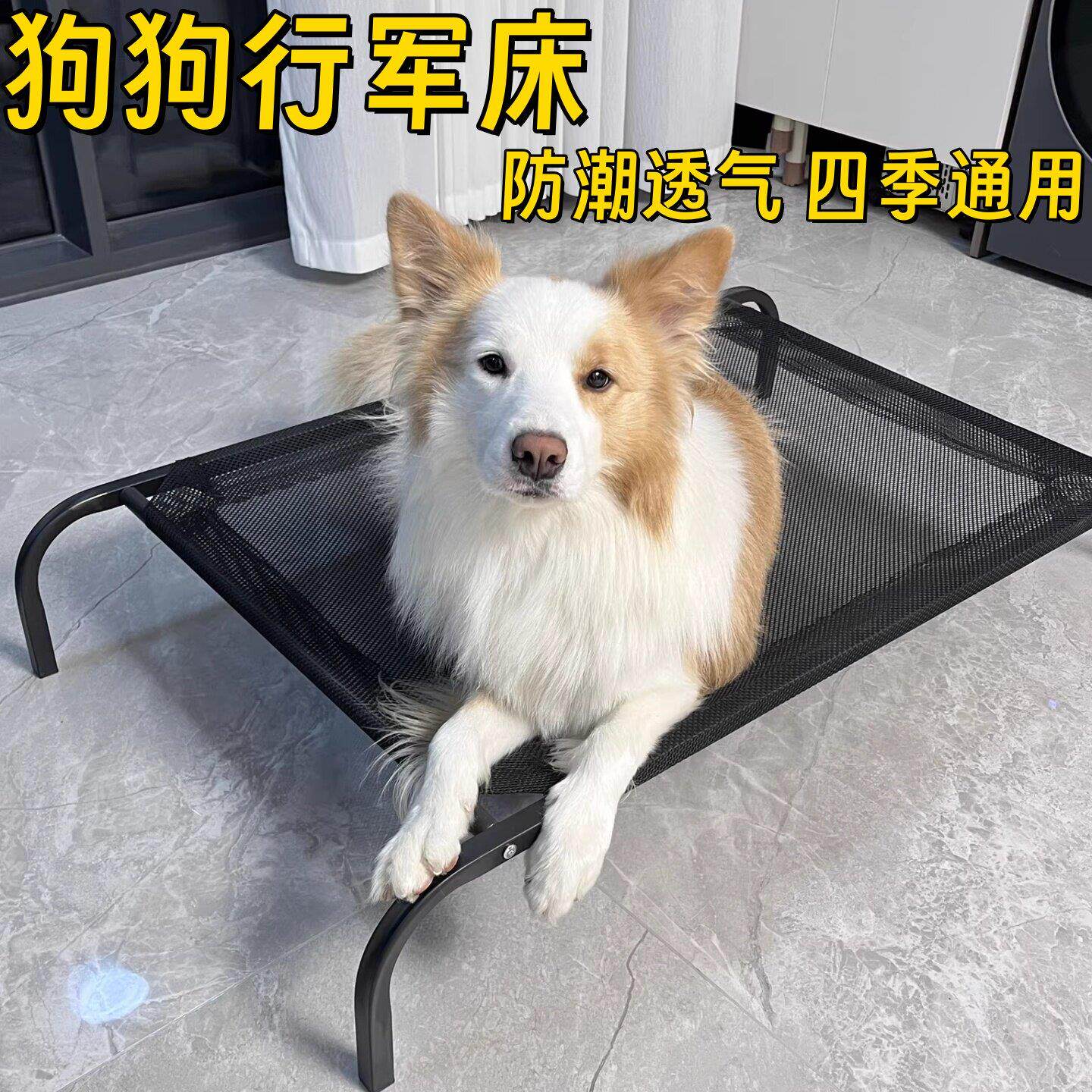 狗狗行军床四季通用离地防潮透气大小型犬猫狗窝夏季凉窝宠物凉席