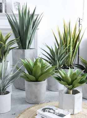 仿真绿植盆窗景剑麻大叶剑兰沙漠植物热带橱植饰造景装假物98947