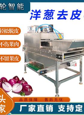 商用洋葱去皮机气动圆葱脱皮机304不锈钢洋葱剥皮机无损伤预制