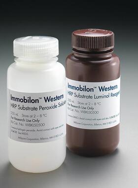 MilliporeECL发光液500ml密理博WesternBlot化学发光HRP底物