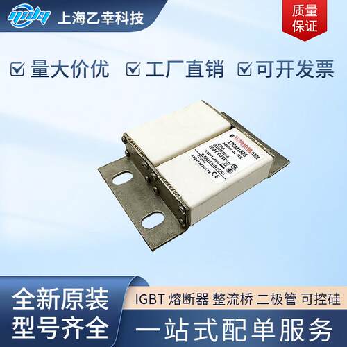巴斯曼熔断器 170M1827 170M1828 170M1829 170M1830 170M1831