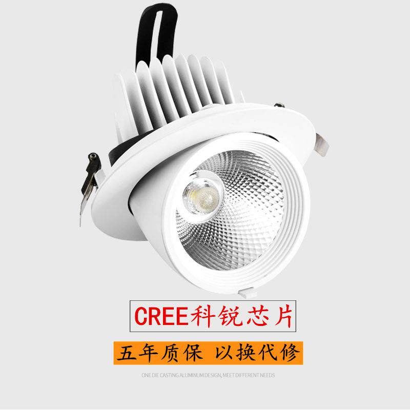 锐5w7w12嵌入式嵌入高显灯芯片花灯象鼻万象科ledcob客厅服装店灯