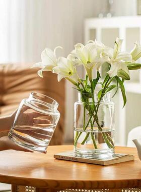 花瓶摆件客厅插花玻璃高级感透明简约复古餐桌矮水培玫瑰大口径宽